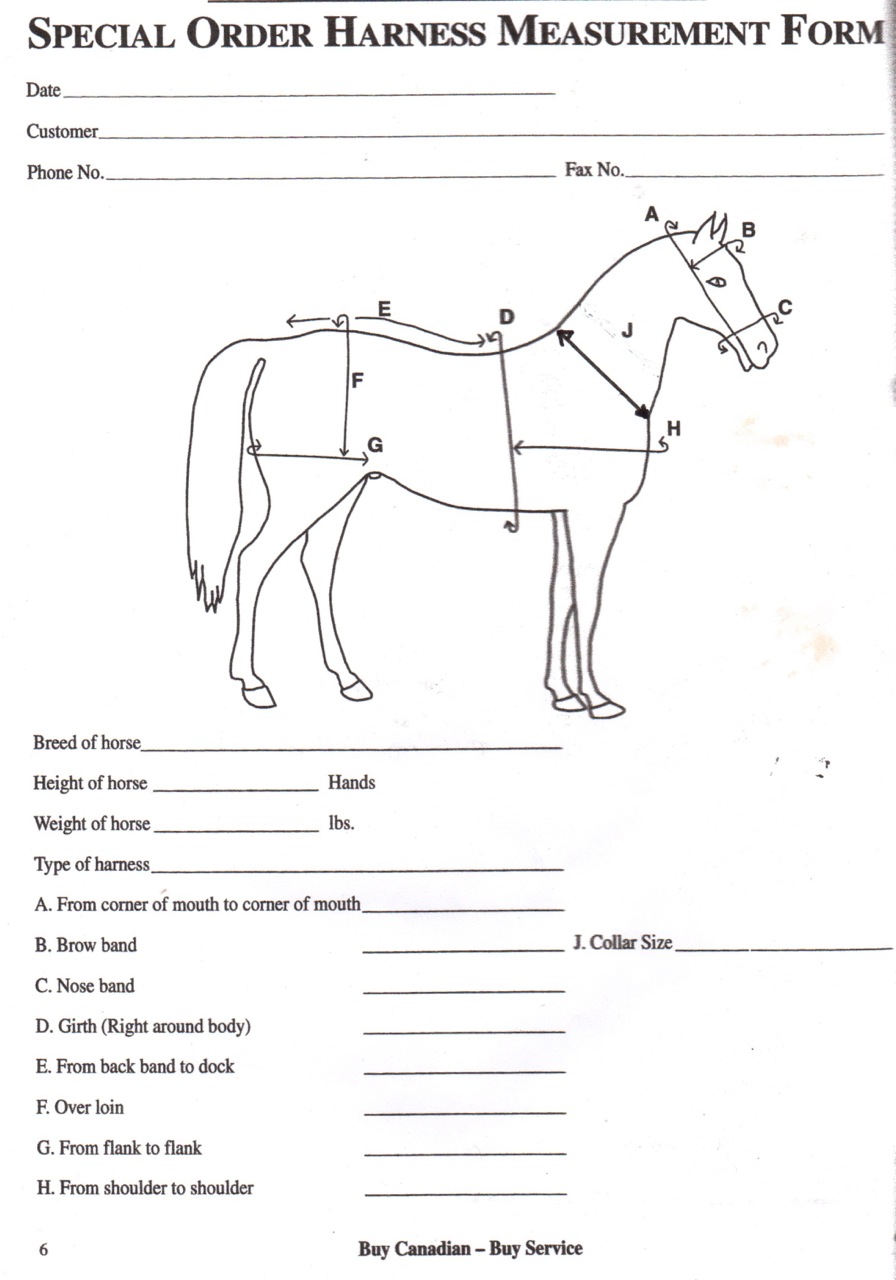 Horse Measurement Chart