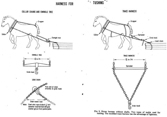Draft Horse Harness Diagram - Derslatnaback